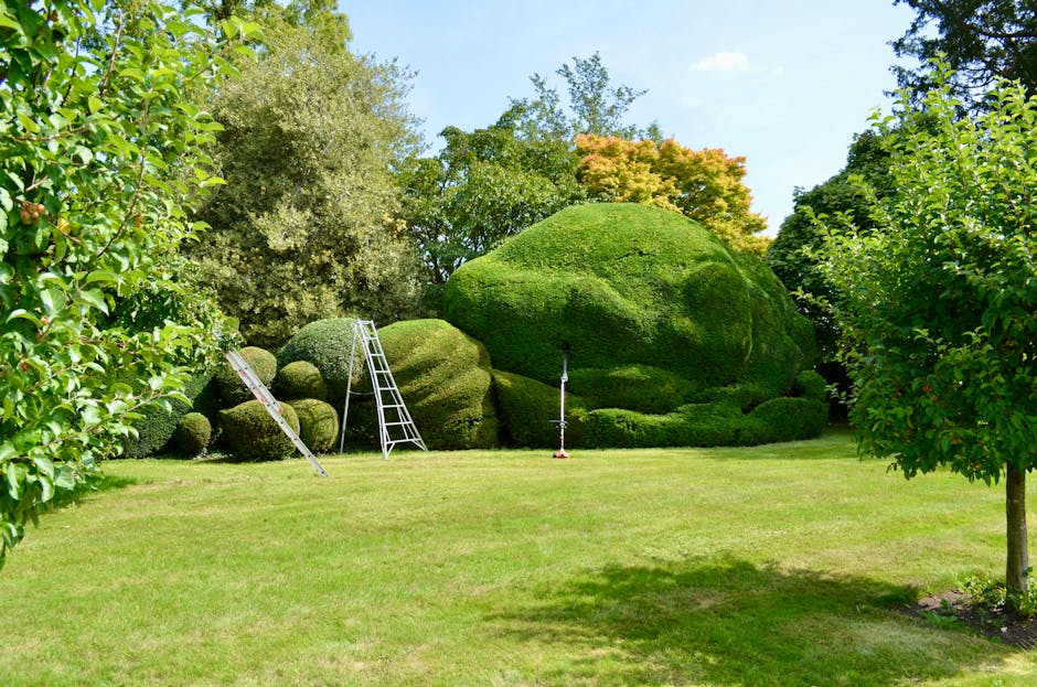 A neatly maintained garden pathway lined with young, pruned trees on both sides, their bare branches supported by horizontal wires. The grass between the trees is lush and green, with shadows cast by