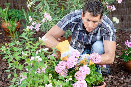 Gardening workshop in Chiswick with participants learning new techniques